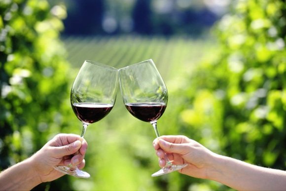 Wine Tours